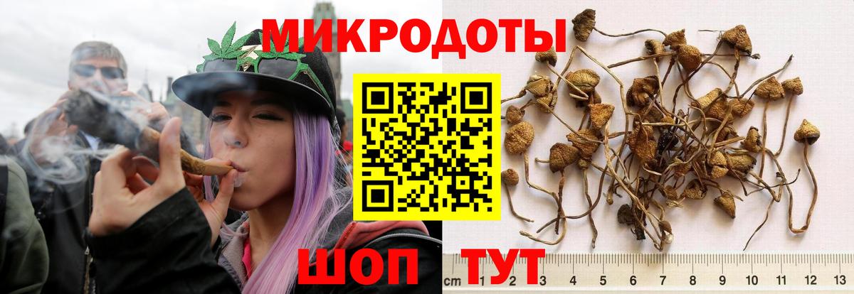 Галлюциногенные грибы мухоморы  Галлюциногенные грибы Psilocybe  Железноводск  Вход с VPN 